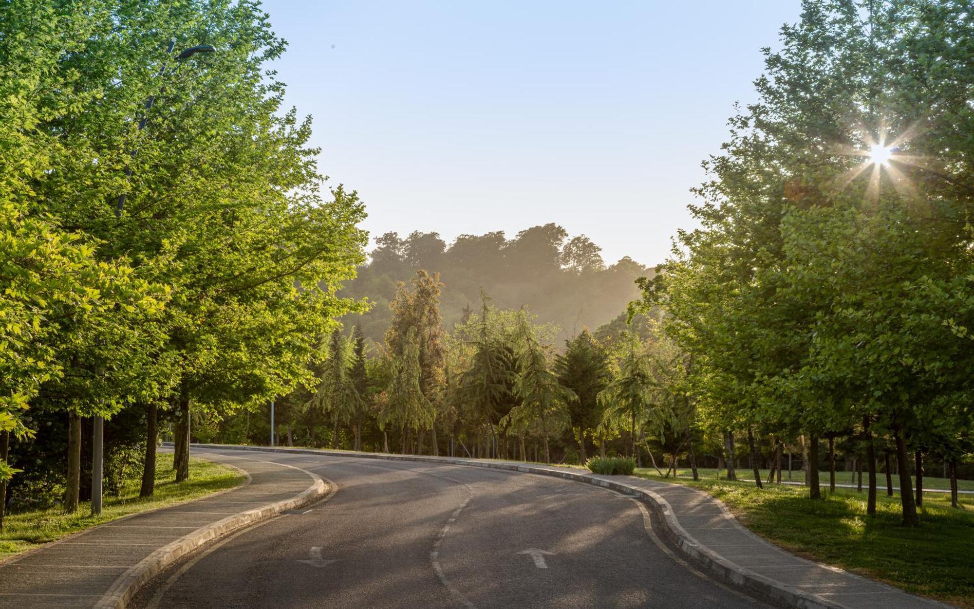 Lankaran Springs Wellness Resort Экстерьер фото The Avenue of Honour